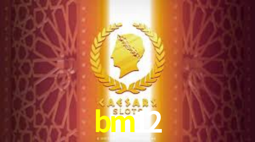 Interface Premium bm12